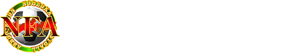 NFA（延岡市サッカー協会）